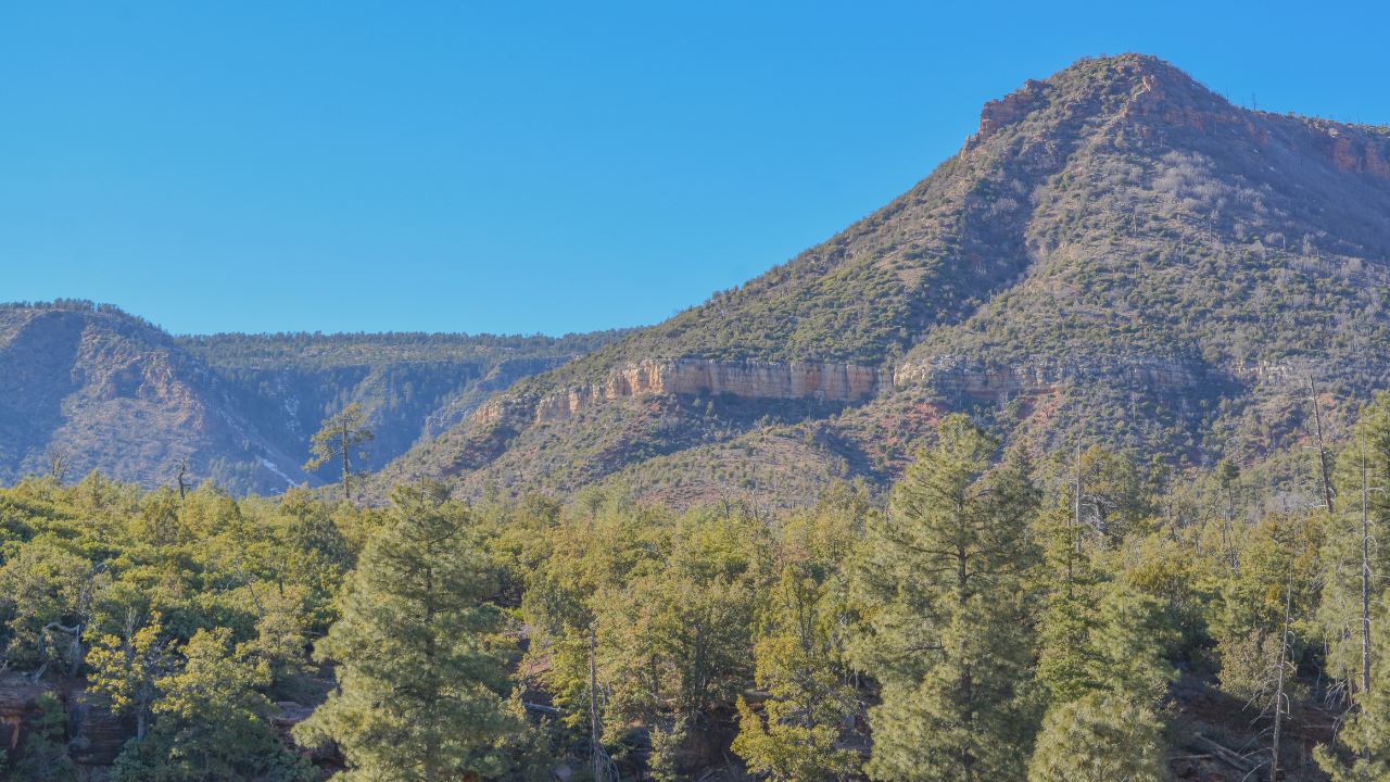 Payson area